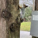 Отель Мио, фото гостя