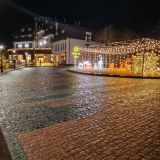 Forrest Terrace Hotel, фото гостя