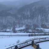 Forrest Terrace Hotel, фото гостя