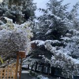 Санаторий Голубая волна, фото гостя