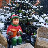 Центральная Россия, фото отдыхающего в январе