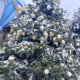 Центральная Россия, фото отдыхающего в январе