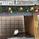 Балтийское море, фото отдыхающего в феврале