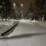 Загородный отель Тропикана Парк, фото гостя