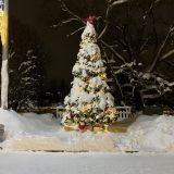 Загородный отель Тропикана Парк, фото гостя