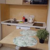 Апартаменты RentPlaza Потапова 78в, фото гостя