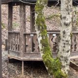 Отель Green House, фото гостя