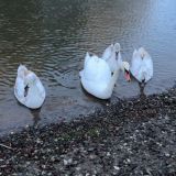 Сочи Парк Отель, фото гостя