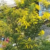 Курортный отель COOCOOROOZA, фото гостя