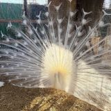 Alean Family Doville, фото гостя