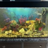 Хостел Compass, фото гостя