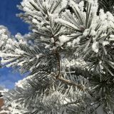 Ленинградская область, фото отдыхающего в феврале