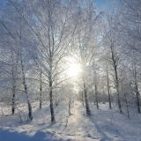 База отдыха Алино, фото гостя