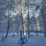 База отдыха Алино, фото гостя