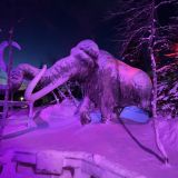 Мурманск, фото отдыхающего в феврале