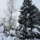 Эко-парк Тепло, фото гостя