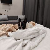 Отель Три Мушкетера, фото гостя