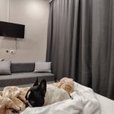 Отель Три Мушкетера, фото гостя