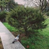 Отель Новое Время, фото гостя