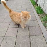 Отель Новое Время, фото гостя