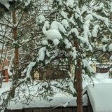 Гостевой дом Звёздная, фото гостя