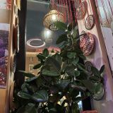 Санкт-Петербург, фото отдыхающего в январе