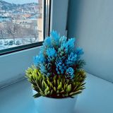 Владивосток, фото отдыхающего в феврале