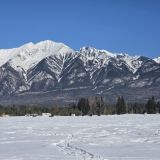 Глэмпинг Место силы, фото гостя
