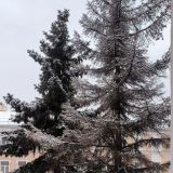 Гостиничный комплекс Селигер, фото гостя