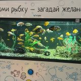 Гостиница Cosmos Moscow VDNH, фото гостя