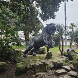 Сочи, фото отдыхающего в феврале