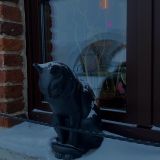 Финский залив, фото отдыхающего в феврале