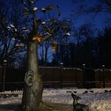 Финский залив, фото отдыхающего в феврале