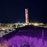 Отель Мрия, фото гостя