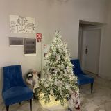 Отель Виктория, фото гостя