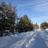 Парк-Отель Рыболовная усадьба, фото гостя