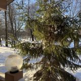 Парк-Отель Рыболовная усадьба, фото гостя