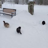 Отель Лунево на Волге, фото гостя