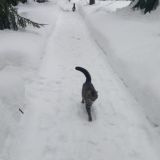 База отдыха Солонцово, фото гостя