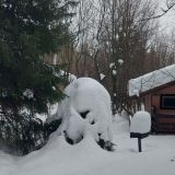 База отдыха Солонцово, фото гостя