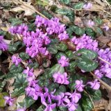 База отдыха Горный Воздух, фото гостя