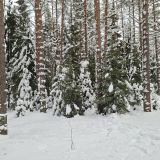 База отдыха Рыбацкий Хутор, фото гостя