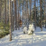 База отдыха Рыбацкий Хутор, фото гостя