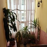 Апарт-отель У монастыря, фото гостя