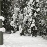 База отдыха Рыбацкий Хутор, фото гостя