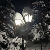 Отель-заповедник Лесное, фото гостя