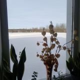 Отель Провинция, фото гостя