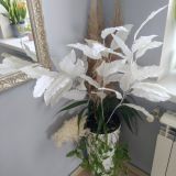 Отель Провинция, фото гостя