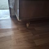 Апартаменты на Волжском проспекте 39, фото гостя