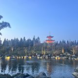 Краснодар, фото отдыхающего в феврале